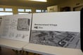Council committee quizzed over development