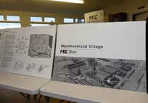 Council committee quizzed over development