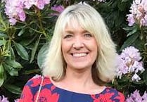 Another candidate puts hat in the ring for Legislative Council