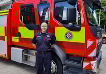 A review of the fire service