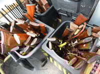 108 firearms already surrendered as Constabulary Amnesty nears end
