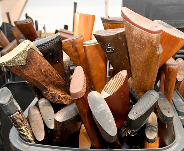 Public urged to hand in weapons during amnesty