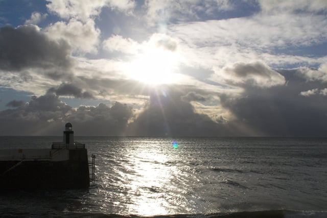 A closer look at a diverse range of habitats in Laxey Bay