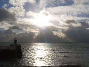 A closer look at a diverse range of habitats in Laxey Bay