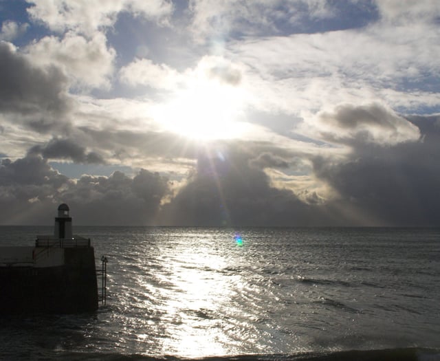 A closer look at a diverse range of habitats in Laxey Bay