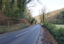 Work on the TT course to remove diseased trees