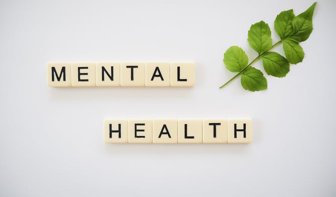 Wellington Town Council has backed a new project to support young people's mental health