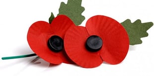 Musicale for poppy appeal