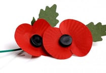 Musicale for poppy appeal