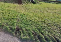 Dirt bike damages grass