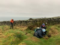 Manx Wildlife Trust’s tree planting session
