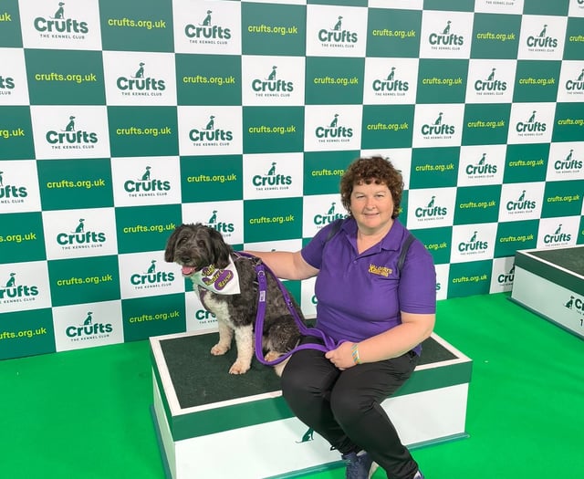 Lacey’s Crufts moment ruined by TV schedule