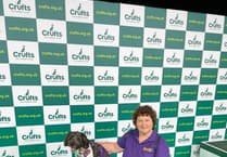 Lacey's Crufts moment ruined by Channel 4's scheduling mishap
