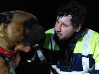 Dog rescued in a five and a half hour job