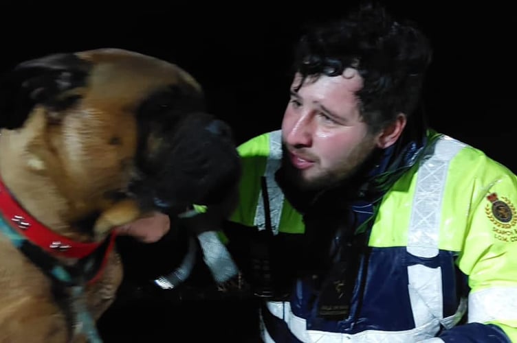 The dog and a rescuer
