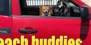 Beach Buddies at Rushen Abbey on Sunday