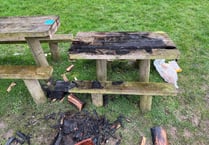 Police investigate two incidents of arson