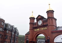 Repairs to train hit by tree cost £6,500