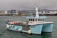 Catching undersized whelks costs fishing company dear