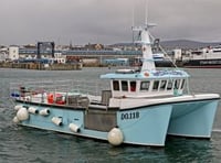 Catching undersized whelks costs fishing company dear