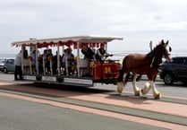 Horse trams due to start for season later this month