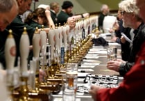 Beer festival opens today