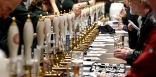 Beer festival opens today