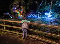 Lights back on in Summerhill Glen