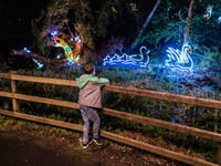 Lights back on in Summerhill Glen