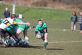 It’s D-Day in Ravenscroft Manx Cup with finals day places up for grabs
