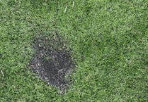 Vandals set fire to AstroTurf