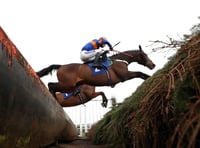 Manx SPCA: Welfare of horses is in the spotlight again