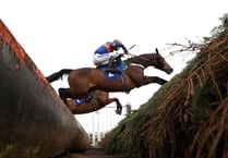 Manx SPCA: Welfare of horses is in the spotlight again