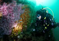 Talk on what lies beneath the waves