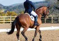 Mister masters first grand prix at Kennaa Riding Club