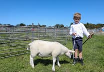 Southern Show will be 'a great value day out for all'