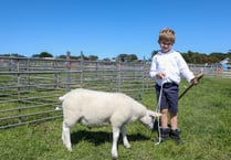 Southern Show will be ‘a great value day out’ for all