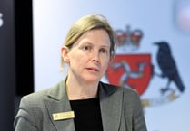 Political parties highlight disgust