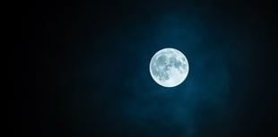 Stamps to be sent to the moon