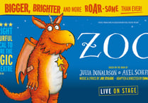 Free tickets for families to Zog production to improve access