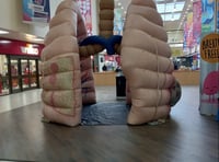 Inflatable lungs to come over to educate people
