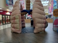 Inflatable lungs to come over to educate people