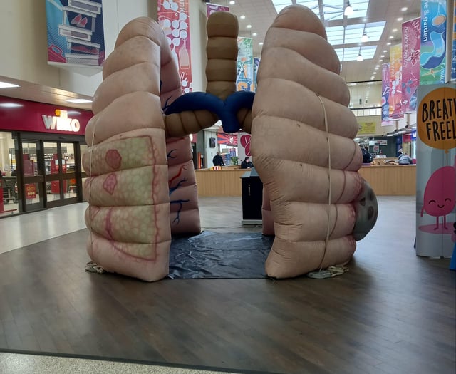 Inflatable lungs to come over to educate people