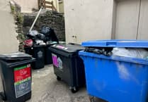 Douglas man protests to overflowing bins by wheeling bin into Douglas Town Hall