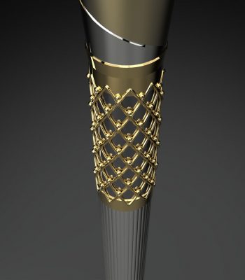 ‘Baton of Hope’ to be passed on at TT startline