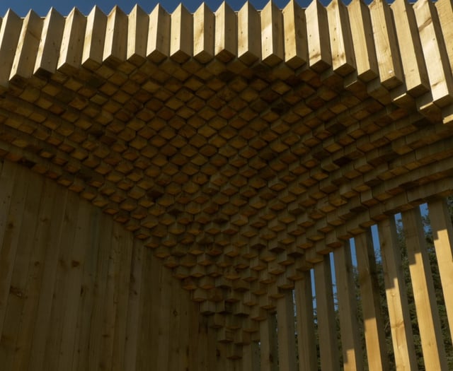 WITH VIDEO: Shelter built in woodland