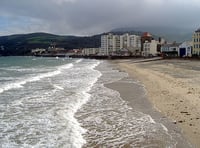 Ramsey Beach to be preserved for nesting birds