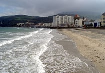 Ramsey Beach to be preserved for nesting birds
