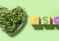 ESG: Can it survive the backlash?