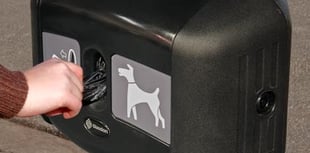 Commissioners set to hire dog poo warden